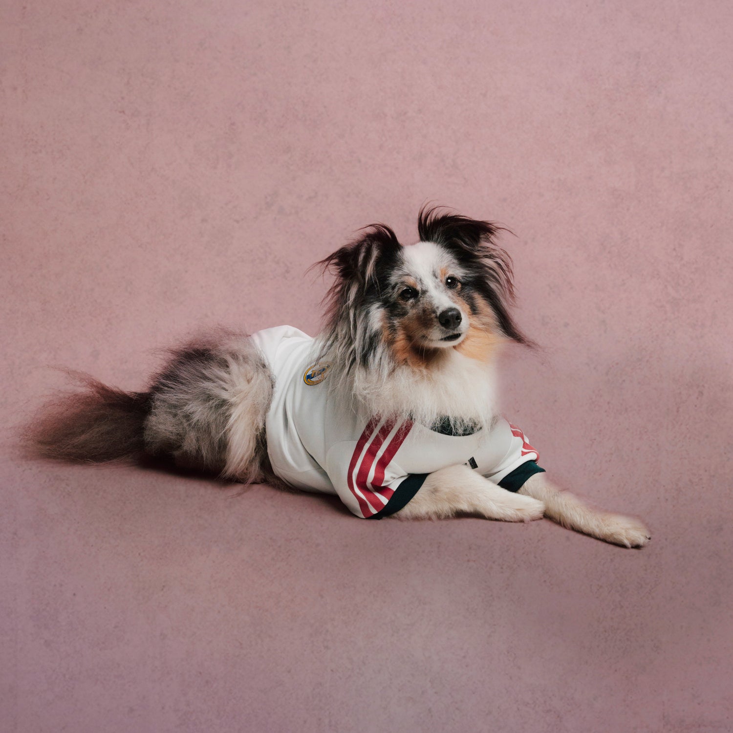 Camiseta Mascota adidas 26/27