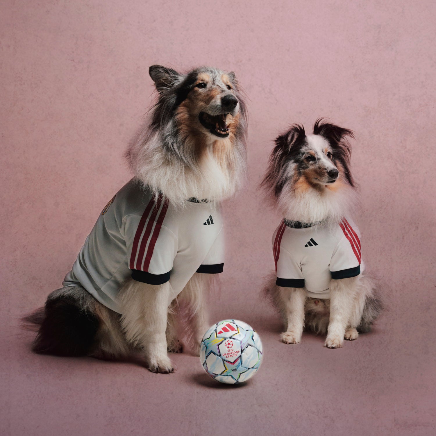 Camiseta Mascota adidas 26/27