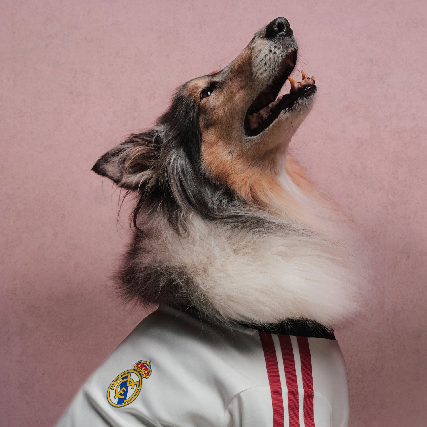 Camiseta Mascota adidas 26/27