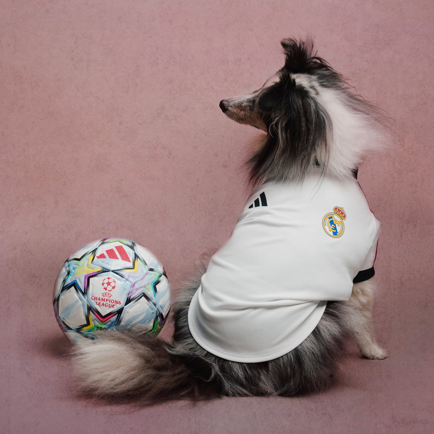 Camiseta Mascota adidas 26/27