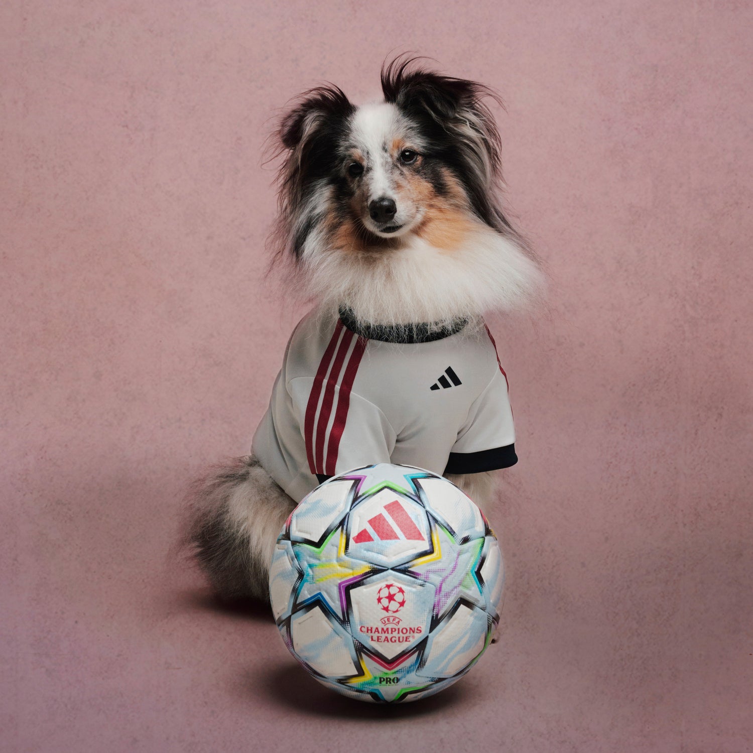Camiseta Mascota adidas 26/27