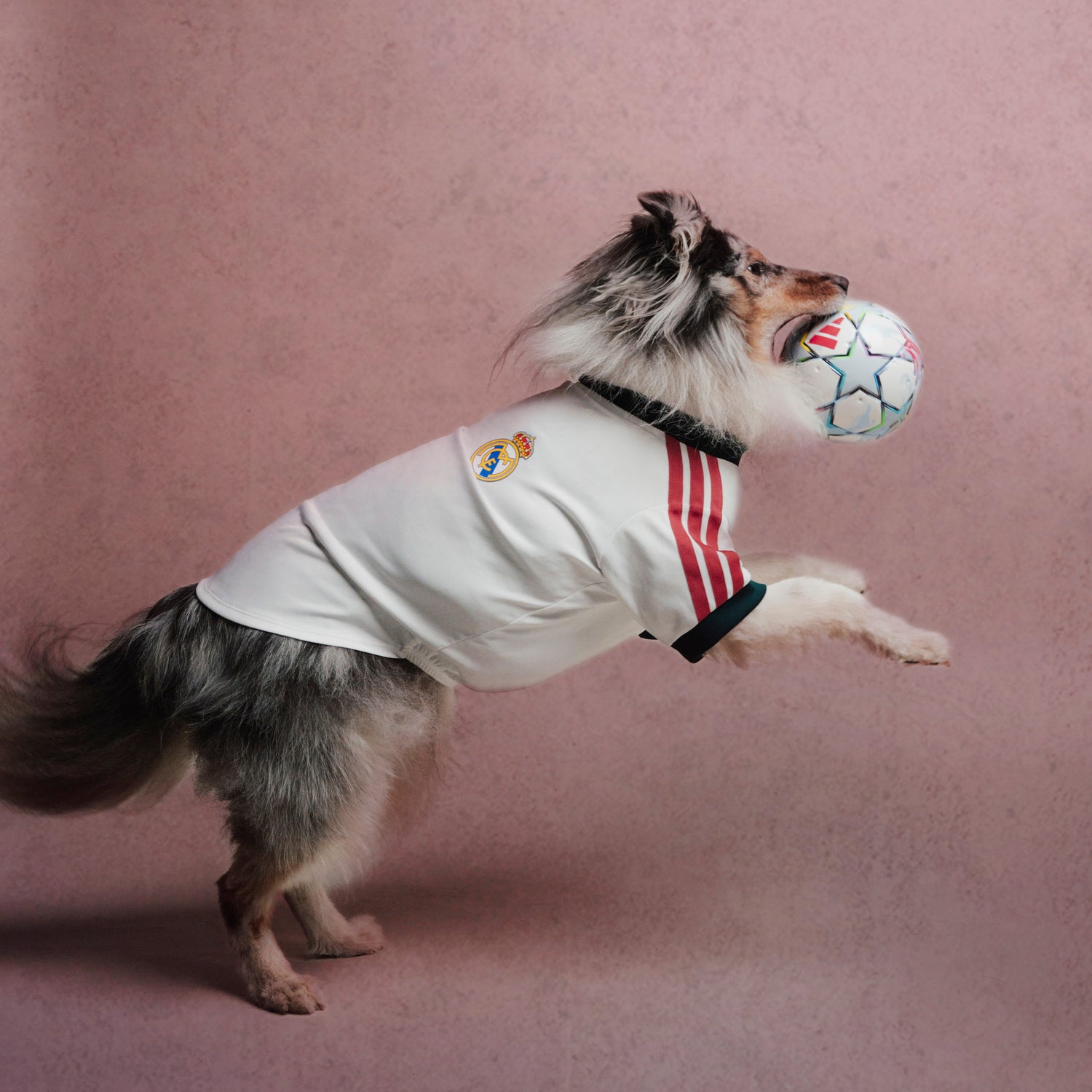Camiseta Mascota adidas 26/27