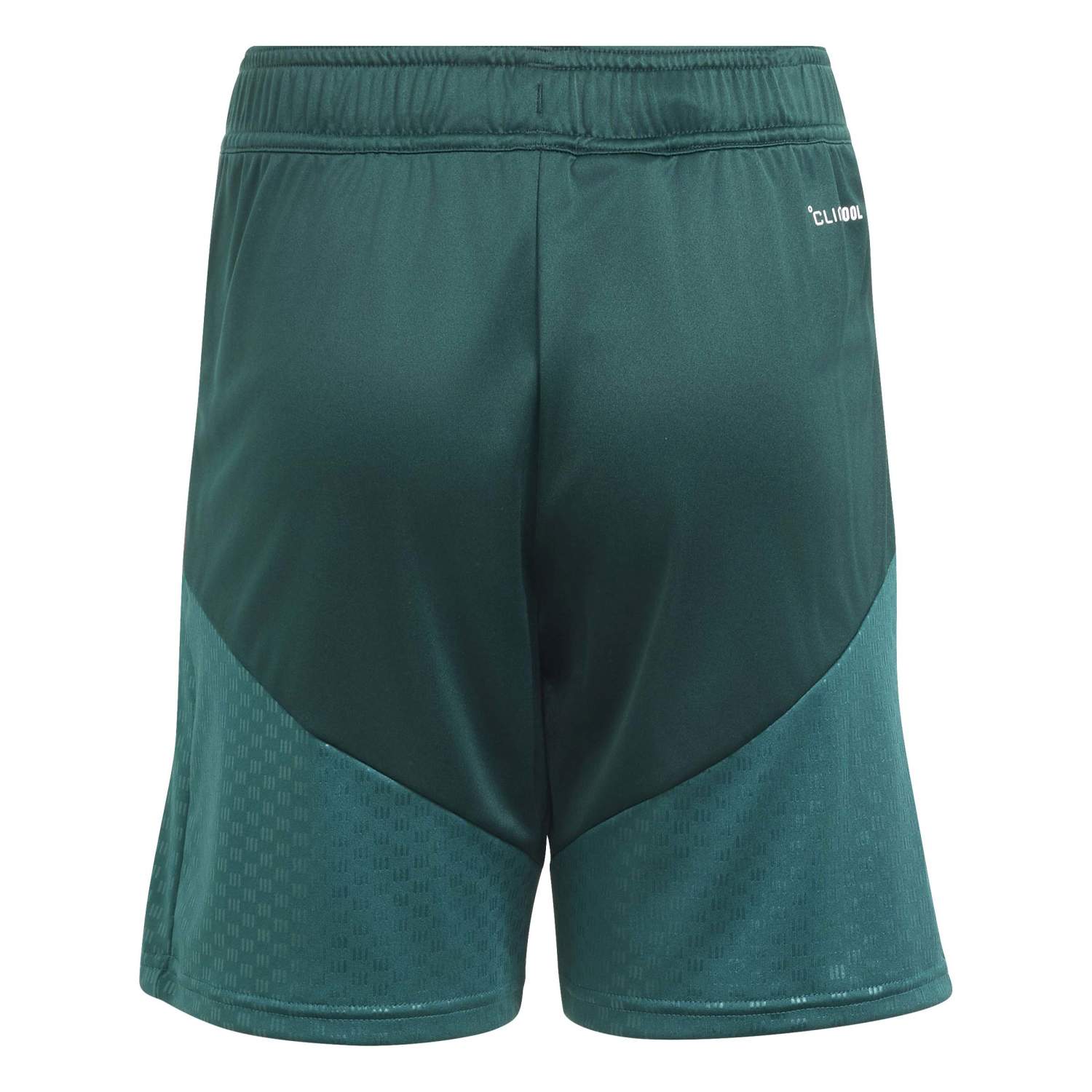 Youth adidas Training Shorts 26/27 Green