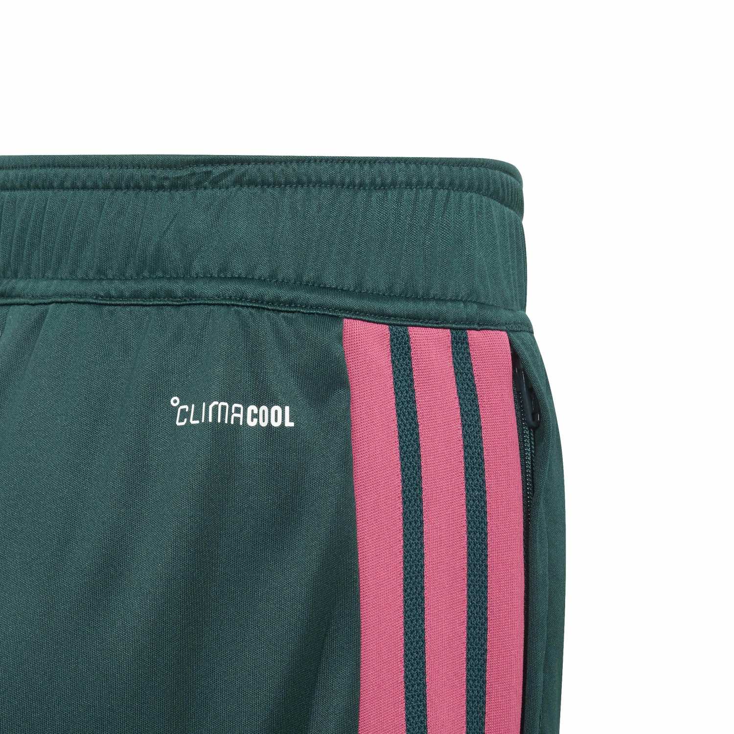 Youth adidas Training Shorts 26/27 Green