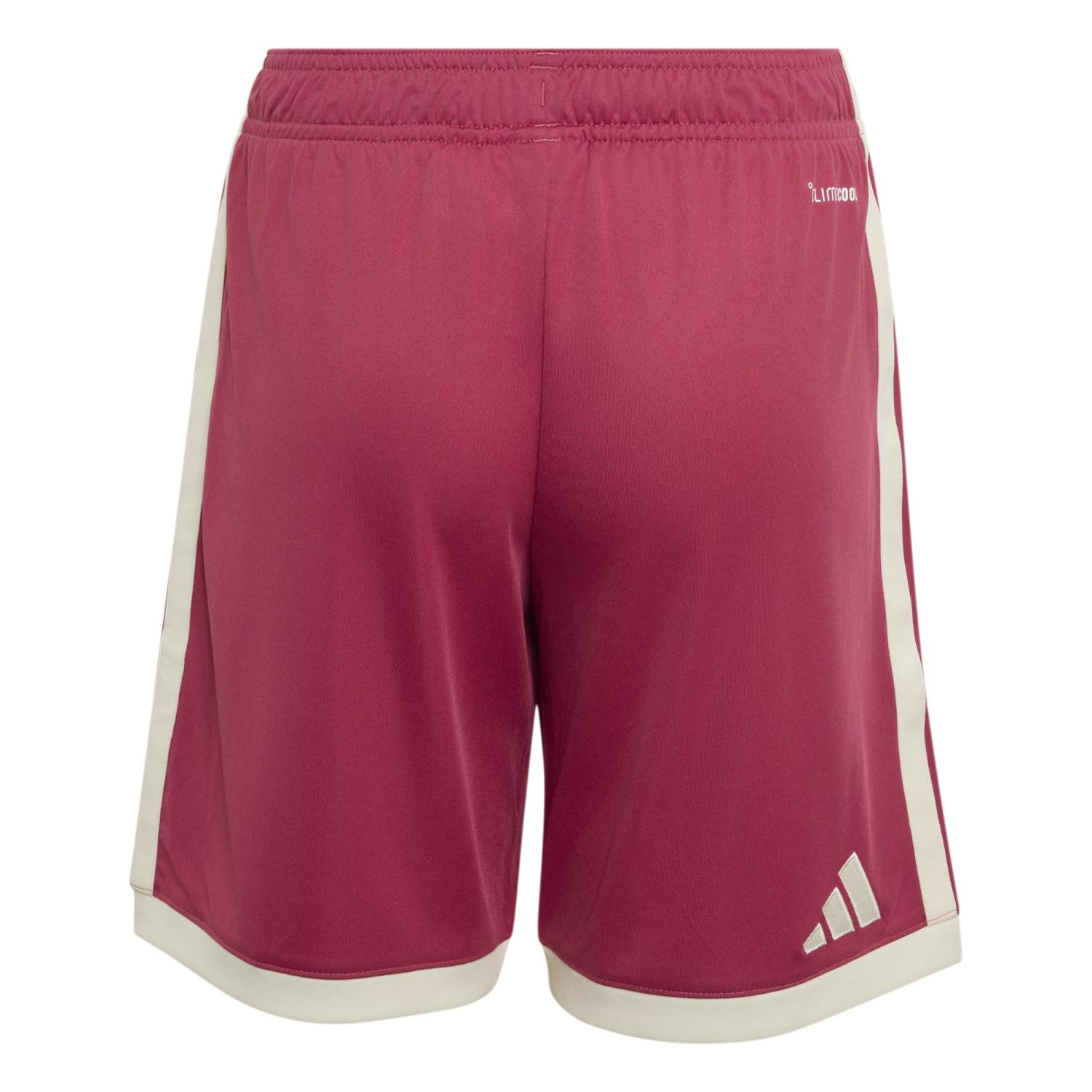 Youth Third Shorts Pink 26/27