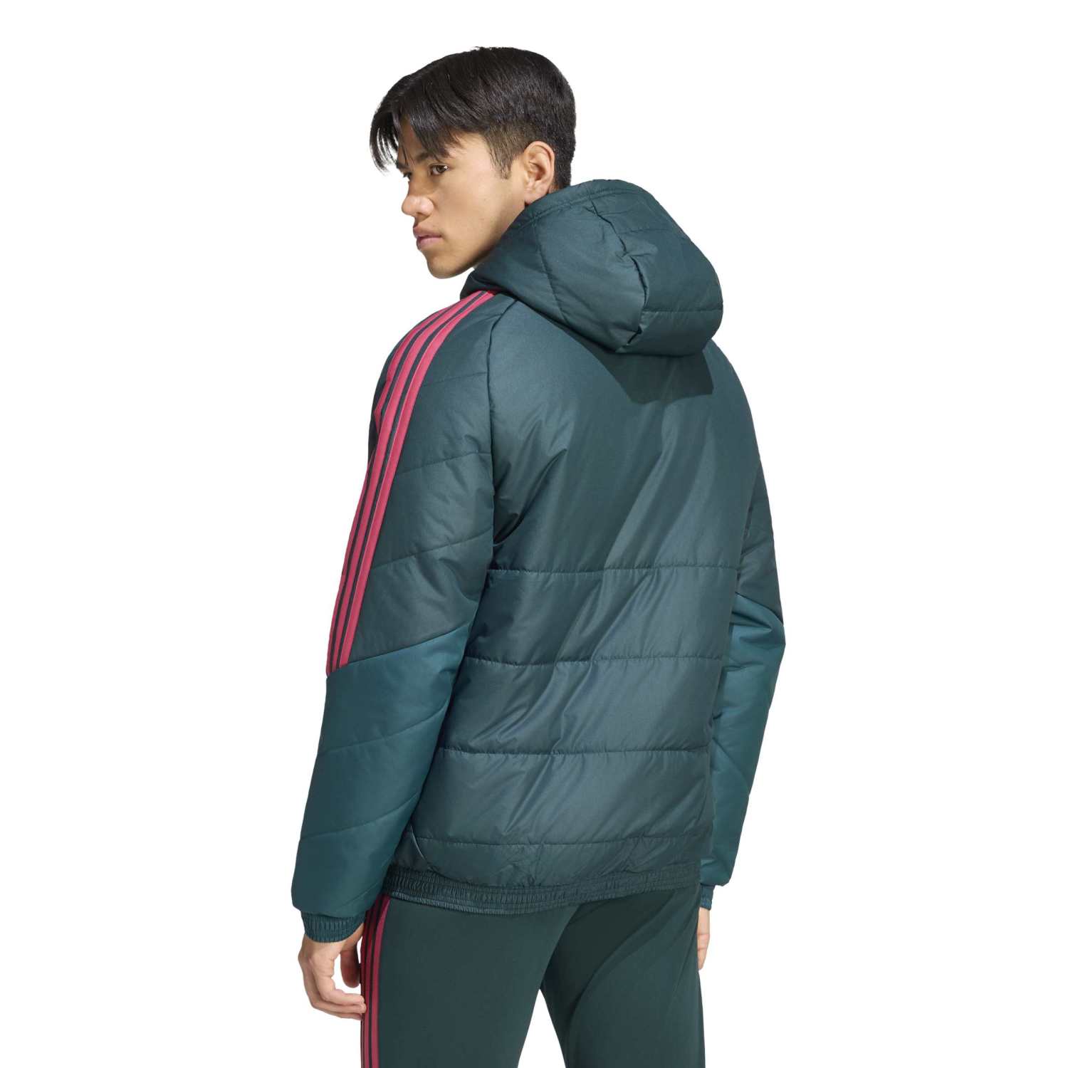 Giacca Invernale da Allenamento Uomo adidas 26/27 Verde