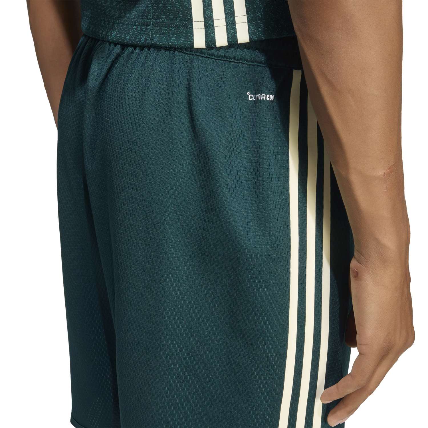Herren Auswärts Basketballshorts 26/27 Grün