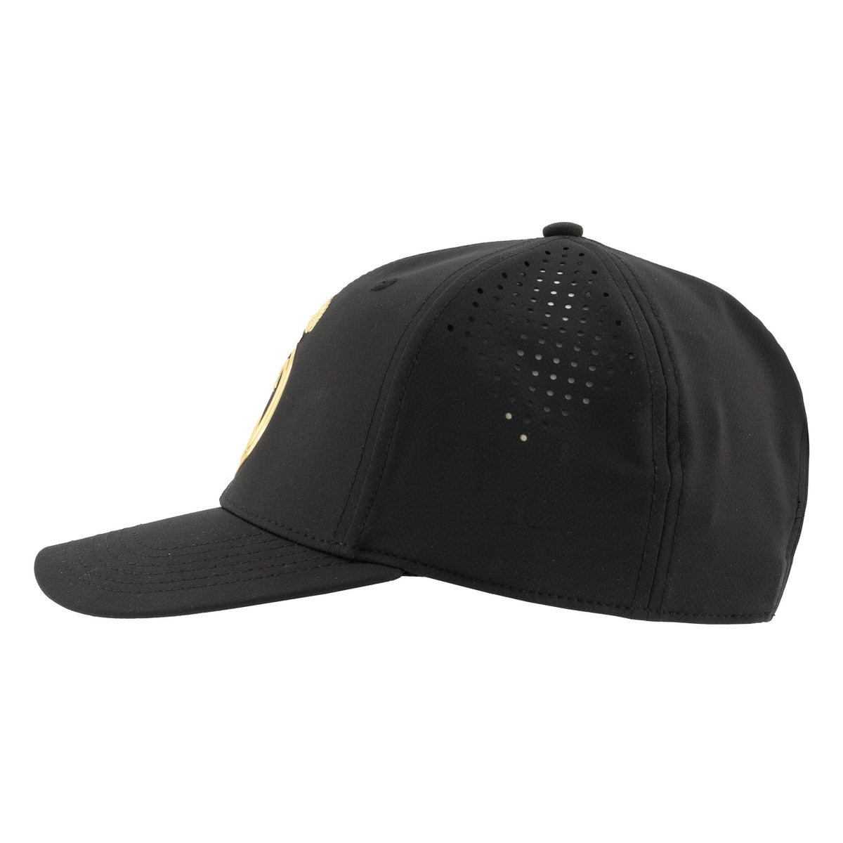 Black & Gold Cap