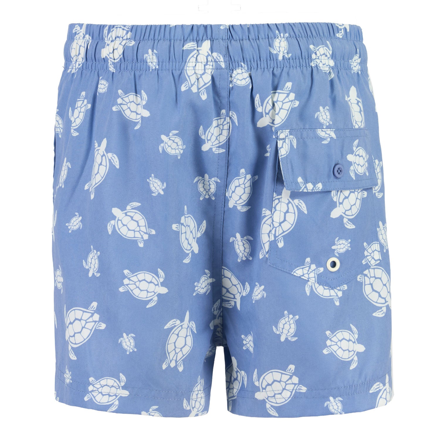 Bañador Diseño Tortuga Niño Azul/Blanco