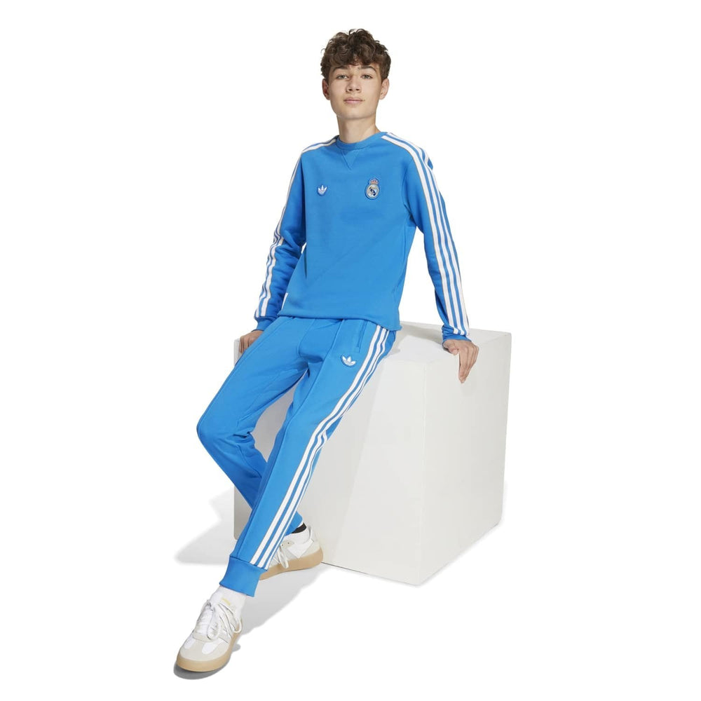Kids adidas Originals Terrace Icons Sweatshirt 25/26 Blue