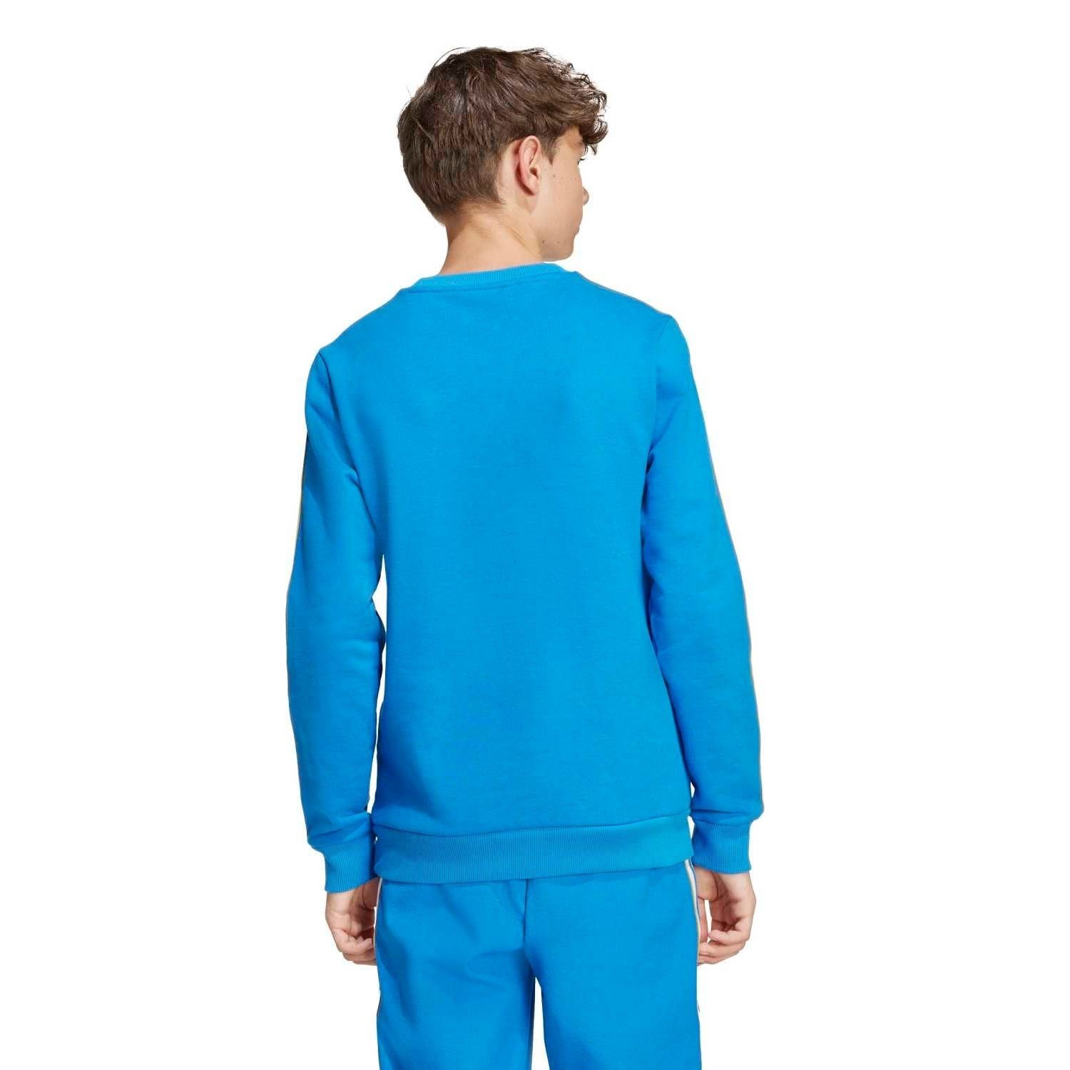 Kids adidas Originals Terrace Icons Sweatshirt 25/26 Blue