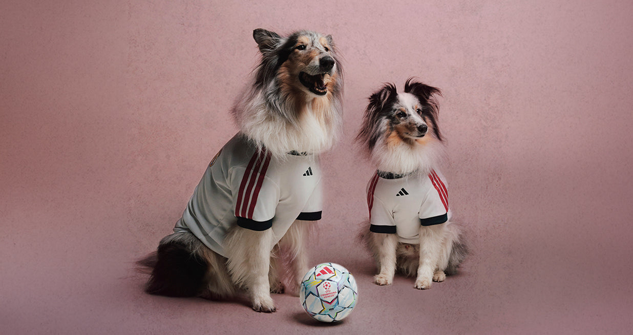 新品  犬服 XLペット レアルマドリード ドッグウェア ペットグッズ – レアル・マドリードCF公式オンラインショップ